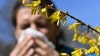 How to navigate allergy season in Florida with high levels of pollen