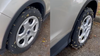 VIDEO: Dozens of Green, fuzzy caterpillars overtake Florida woman's vehicle