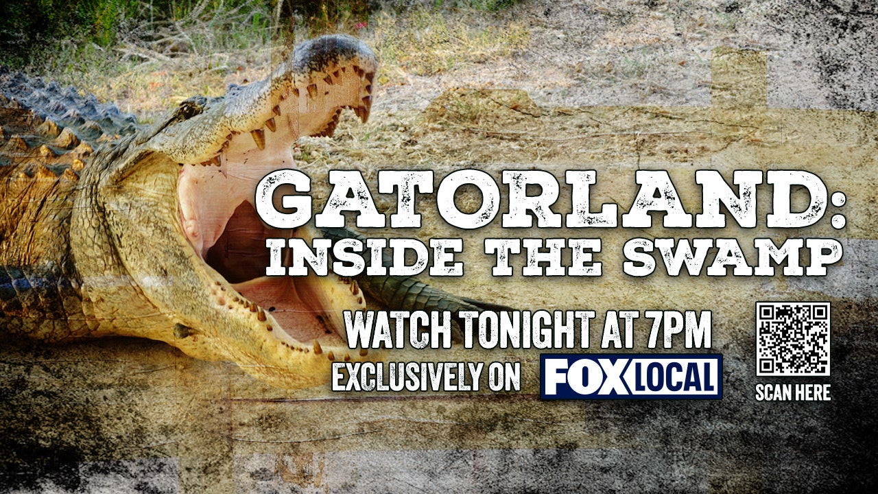 7PM: Stream FOX 35's 'Gatorland: Inside The Swamp' special on FOX