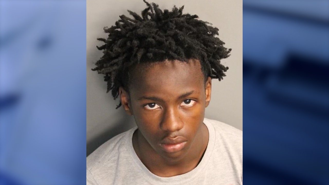 Arrest made in deadly shooting of teacher's assistant at Central Florida Fairgrounds - Vimarsana News