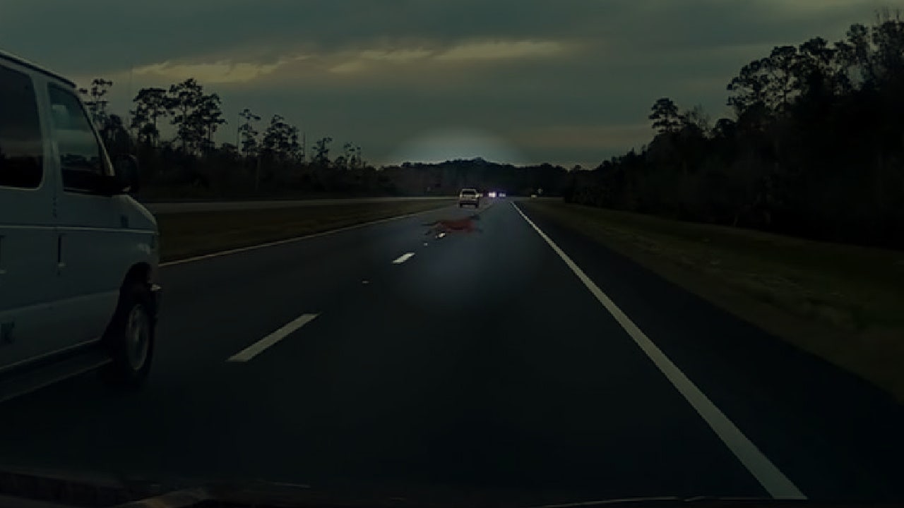 Florida panther darts across Orange County highway in startling video