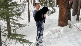 Colorado dog missing for 10 days found trapped in snow just feet from home