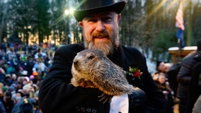 Punxsutawney Phil and wife Phyliss are parents of 2 babies