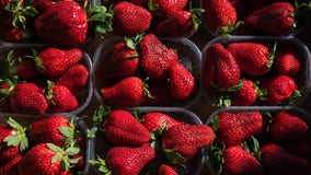 ‘Dirty Dozen’ produce: Strawberries, spinach top 2024 list for most pesticides