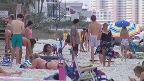 Safety expert weighs in on spring break beach shootings across Florida