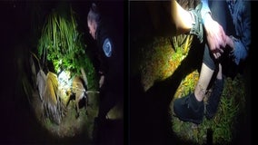 Bodycam shows Florida police K-9 attacks woman sleeping in bushes in Gainesville: 'Please stop!'