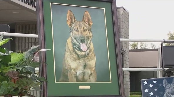 Marion County K-9 Leo laid to rest in touching tribute attended by dozens