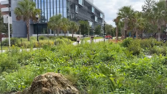 Florida University closes DEI office, eliminates 13 positions, moves $5M to comply with state rules