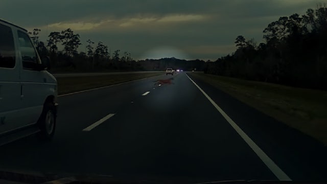 Florida panther darts across Orange County highway in startling video