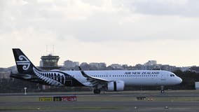 Passenger fined for urinating in cup during delay at Sydney Airport