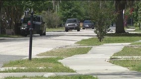 Raccoons dying in droves in Orlando Milk District neighborhood