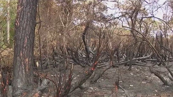 Limited rainfall, threat of drought have Brevard County officials worried about fires