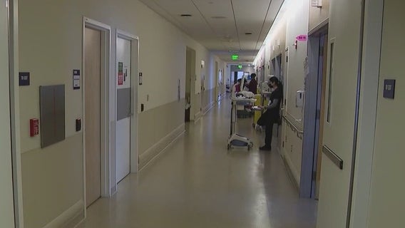 New dashboard tracks healthcare cost to taxpayers for Florida's undocumented residents