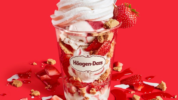 New Häagen-Dazs dessert now available in Florida for a limited time