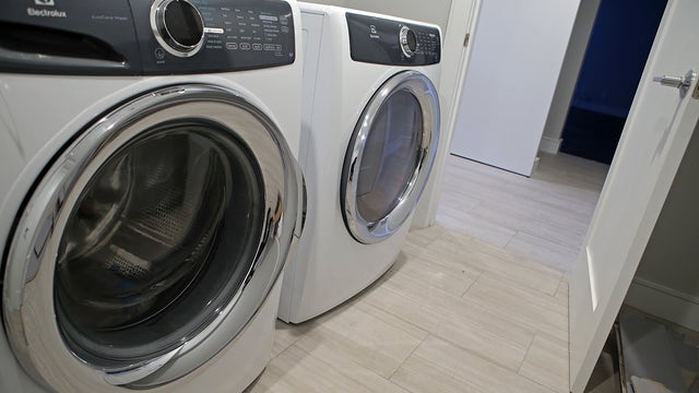 Florida teen accused of killing family's cat by putting it in dryer for 40 minutes