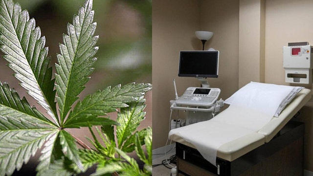 Florida's abortion, recreational marijuana measures pulling in big cash donations