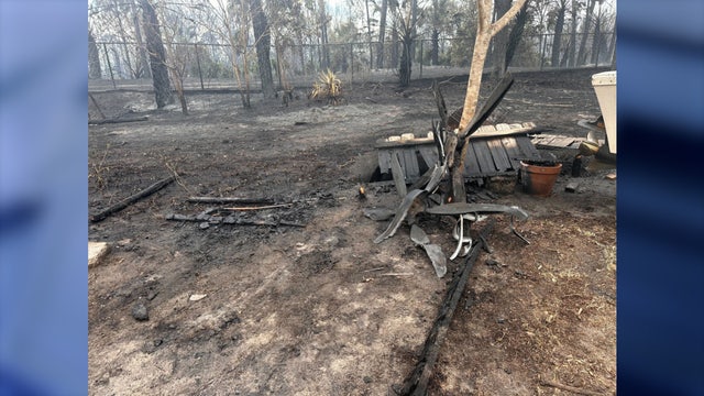 Multiple homes evacuated due to large Palm Bay brush fire, crews say