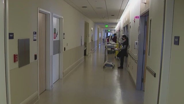 New dashboard tracks healthcare cost to taxpayers for Florida's undocumented residents