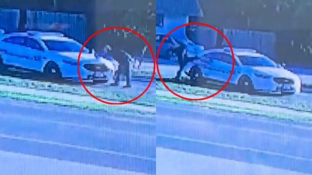 Florida man allegedly 'took out his frustrations' on deputy's parked patrol car: WATCH