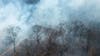 Brevard County prescribed burn taking place today: What is the purpose of a prescribed burn?