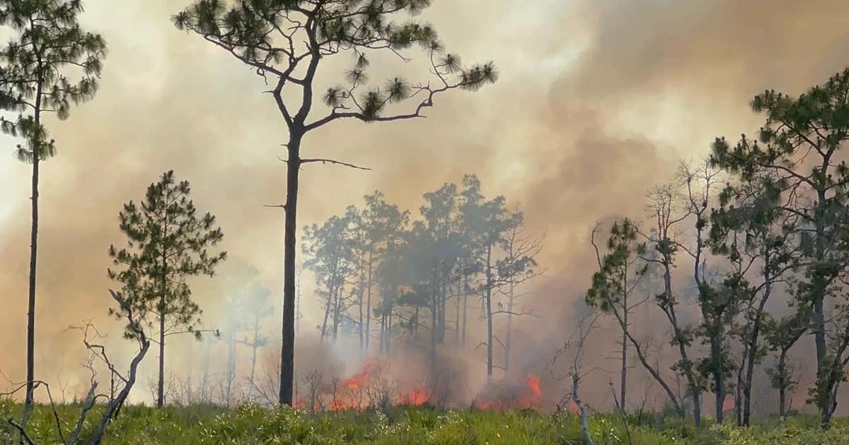 Crews battle multiple brush fires in Seminole County | FOX 35 Orlando