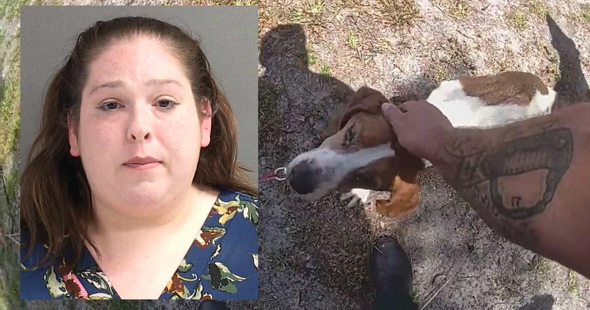 Woman arrested on animal cruelty charges after neglected animals ...