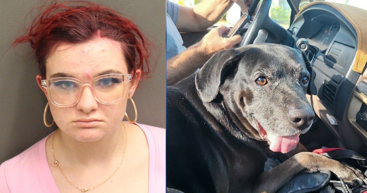 Florida teen accused of stealing SUV with service dog 'Thor' inside ...