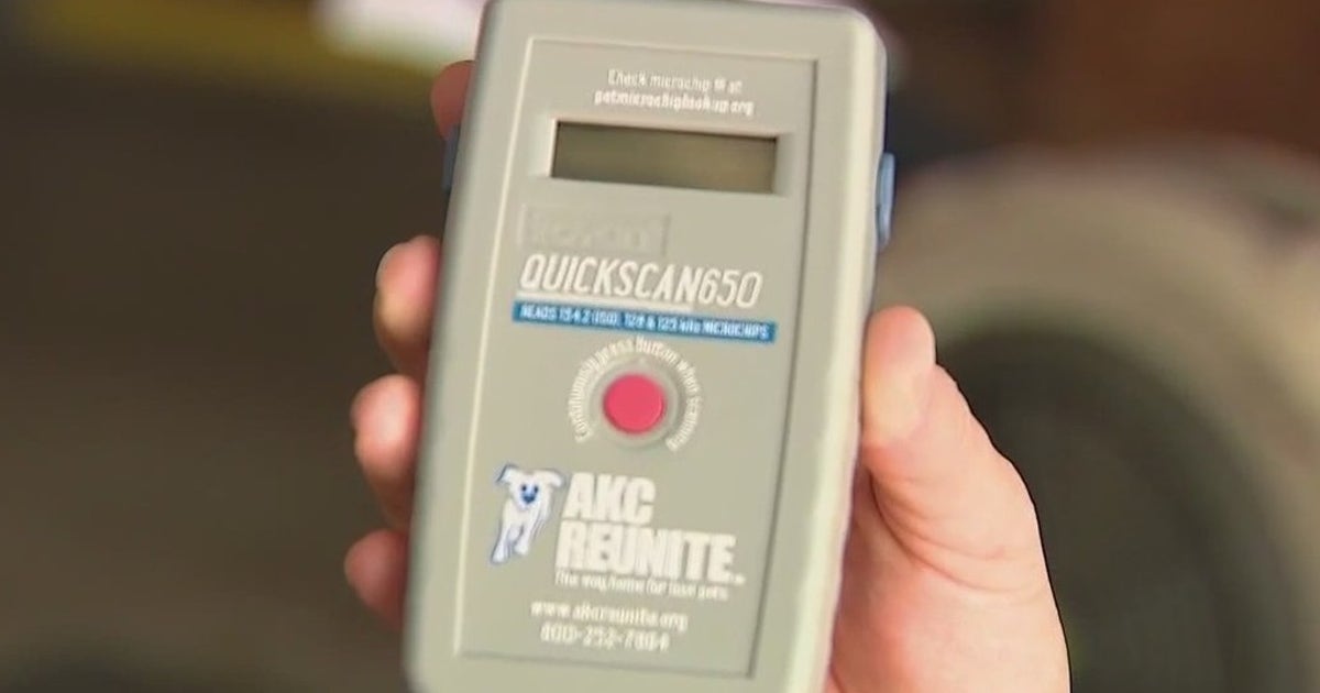 Brevard SPCA installing microchip scanners at police, fire stations to ...