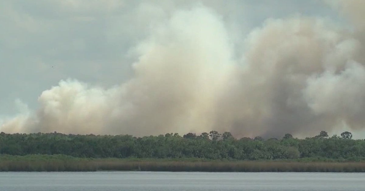 Mandatory burn ban in effect for some Central Florida counties amid dry ...
