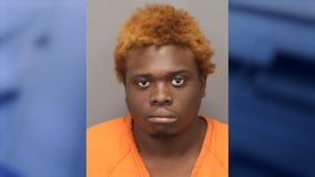 Florida man allegedly hurls fried chicken at sister during argument