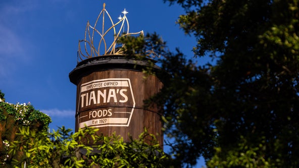 Disney World, Orlando small business team up for new Tiana attraction design