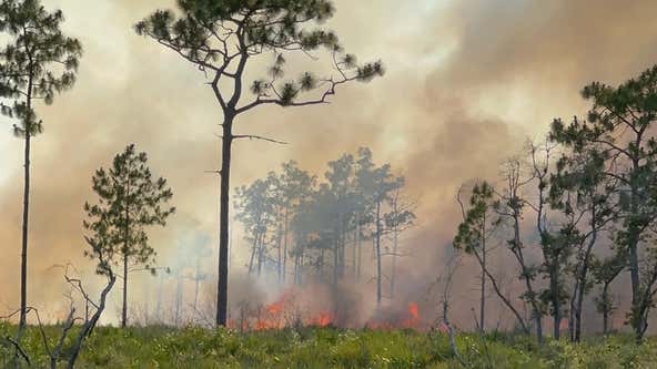 Crews battle multiple brush fires in Seminole County