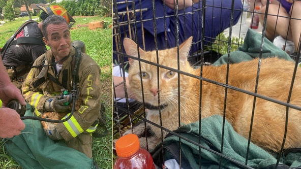 Retired SeaWorld Orlando pet performer among animals rescued in house fire, firefighters say