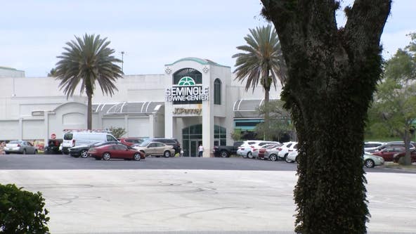 New owner of Seminole Towne Center says mall makeover in the works: 'I will make this place run again'