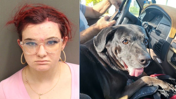 Florida teen accused of stealing SUV with service dog 'Thor' inside
