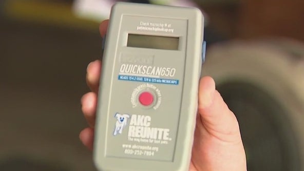 Brevard SPCA installing microchip scanners at police, fire stations to help reunite lost pets with owners