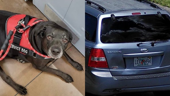 SUV with service dog inside stolen from Orlando hotel, deputies say