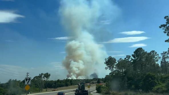 Wildfire sparks in Clermont on Thursday afternoon, officials say