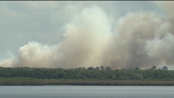 Mandatory burn ban in effect for some Central Florida counties amid dry spell