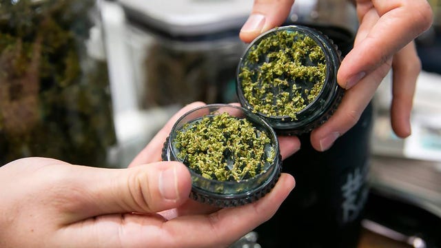 Is marijuana legal in Florida? Amendment 3 could legalize recreational pot this year in the state