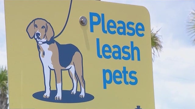Battle brewing over designated dog beach in Ormond Beach