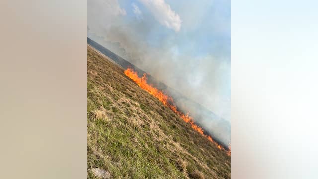Large brush fire damages equipment on Palm Bay solar farm, officials say