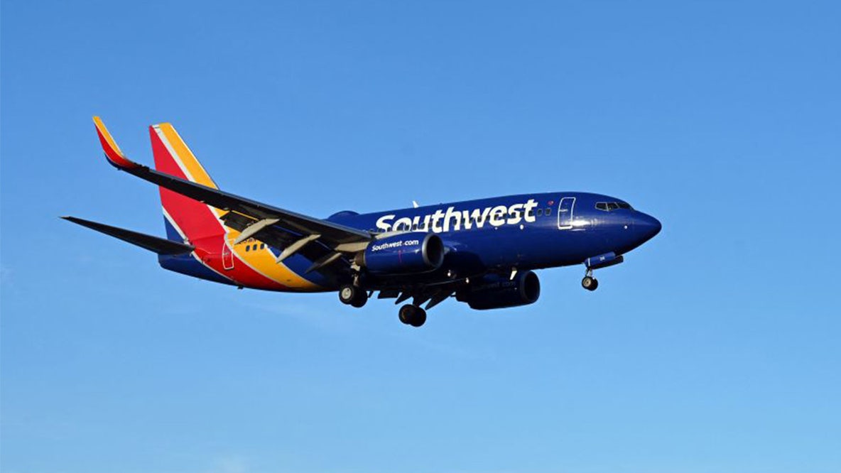 Southwest flight makes emergency return to Orlando after bird strike