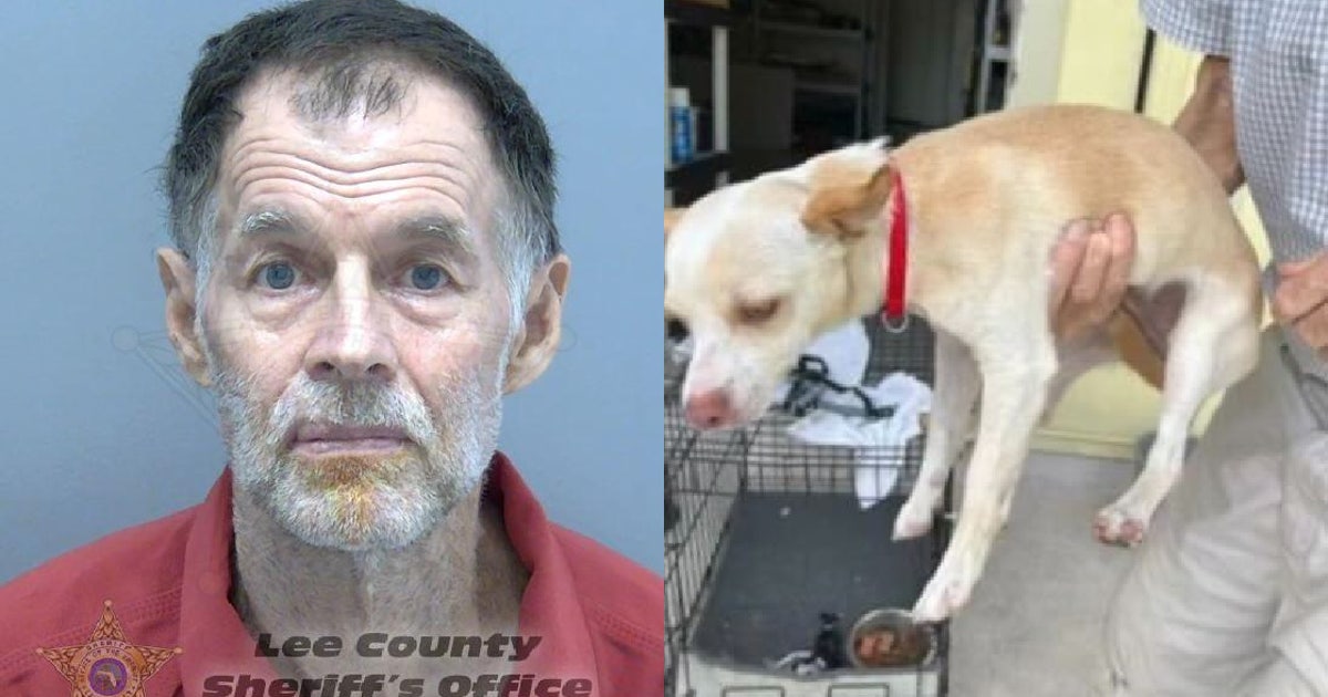 Florida man accused of leaving puppy outside for days without food ...