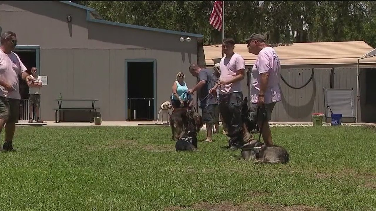 Nonprofit that trains service dogs for veterans facing issues with Seminole County code changes - Vimarsana News