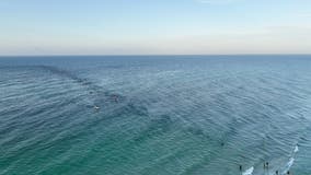 3 Alabama men die while swimming at Florida beach