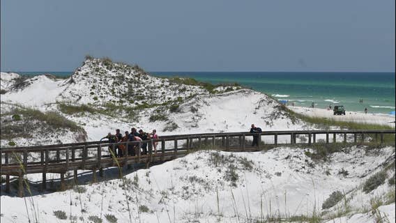 Teen who lost hand, leg in Florida beach shark attack's first words after surgery: 'I made it'