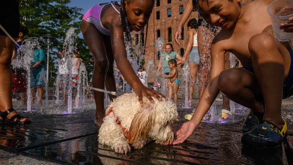 Keeping your kids and pets safe during the Florida summer heat