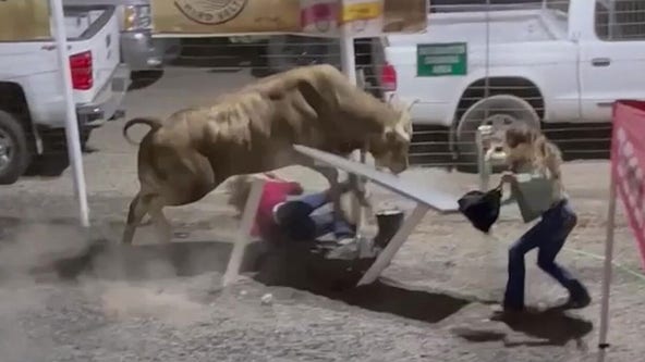 Watch: Runaway bull flips woman, injures 3 at Oregon rodeo