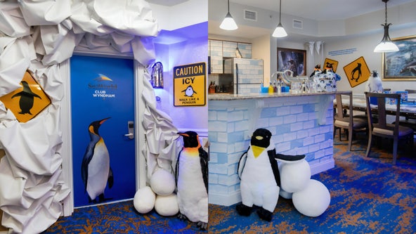 Explore Antarctica without ever leaving Orlando in new SeaWorld-inspired hotel suite
